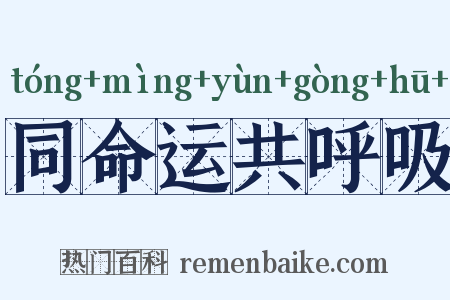 同命运共呼吸是什么意思的图片